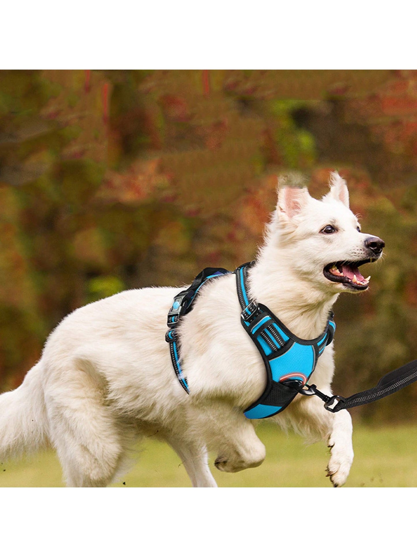 3pcs Ultimate Dog Walking Set - Harness, Leash, Poop Bag Dispenser - Ideal For Medium And Large Dogs, Extra Comfortable And Adjustable Fit