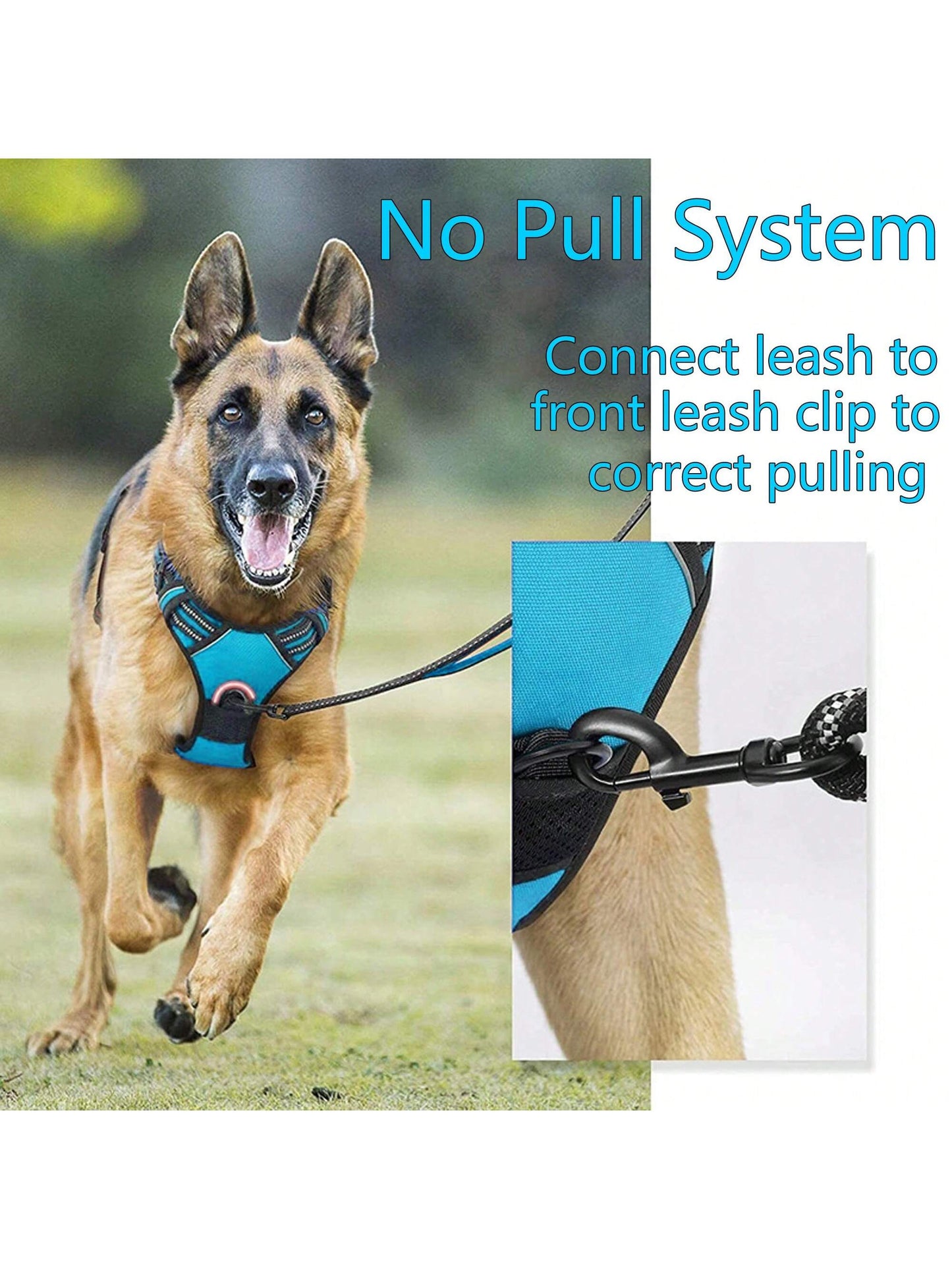 3pcs Ultimate Dog Walking Set - Harness, Leash, Poop Bag Dispenser - Ideal For Medium And Large Dogs, Extra Comfortable And Adjustable Fit