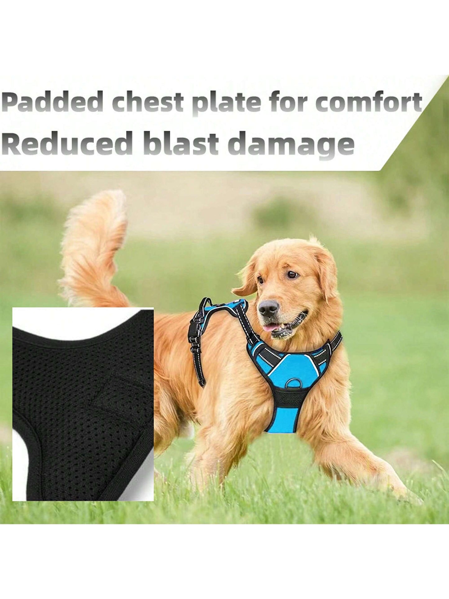 3pcs Ultimate Dog Walking Set - Harness, Leash, Poop Bag Dispenser - Ideal For Medium And Large Dogs, Extra Comfortable And Adjustable Fit