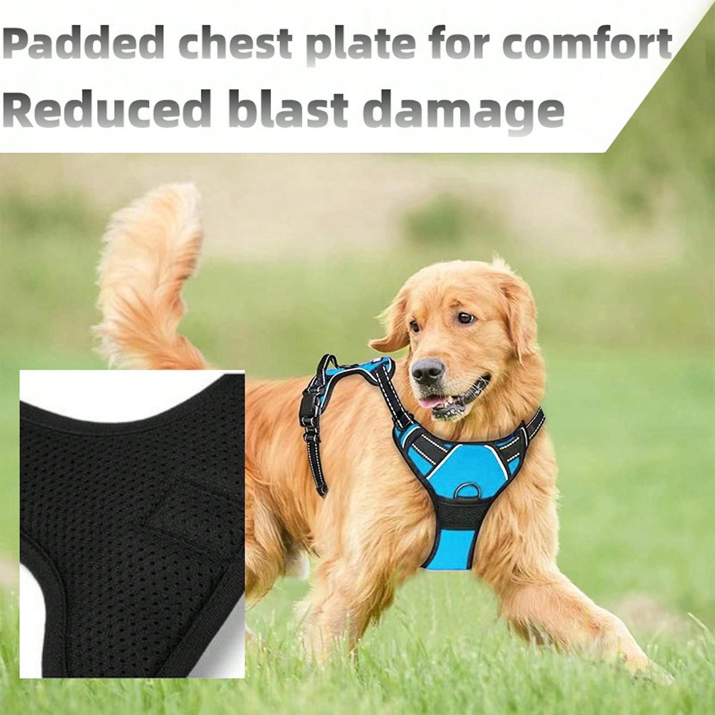 3pcs Ultimate Dog Walking Set - Harness, Leash, Poop Bag Dispenser - Ideal For Medium And Large Dogs, Extra Comfortable And Adjustable Fit