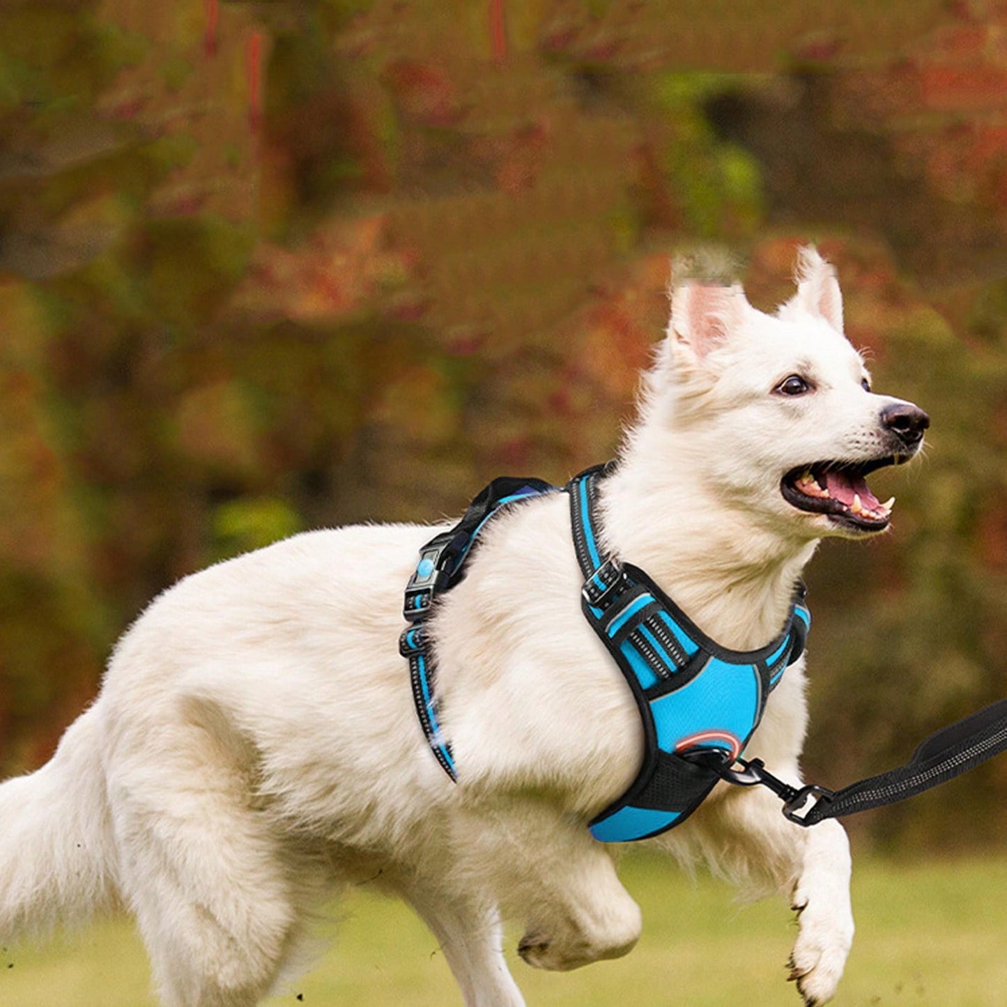 3pcs Ultimate Dog Walking Set - Harness, Leash, Poop Bag Dispenser - Ideal For Medium And Large Dogs, Extra Comfortable And Adjustable Fit