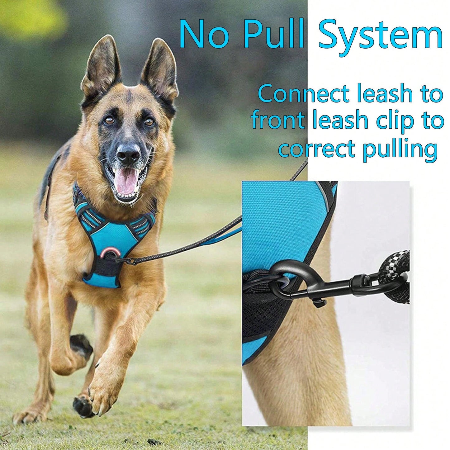 3pcs Ultimate Dog Walking Set - Harness, Leash, Poop Bag Dispenser - Ideal For Medium And Large Dogs, Extra Comfortable And Adjustable Fit