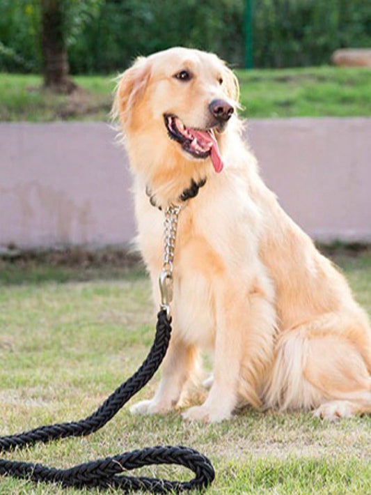 1set Heavy Duty Adjustable Nylon Leash + Collar For Small/medium Pet, Durable Traction Rope Set