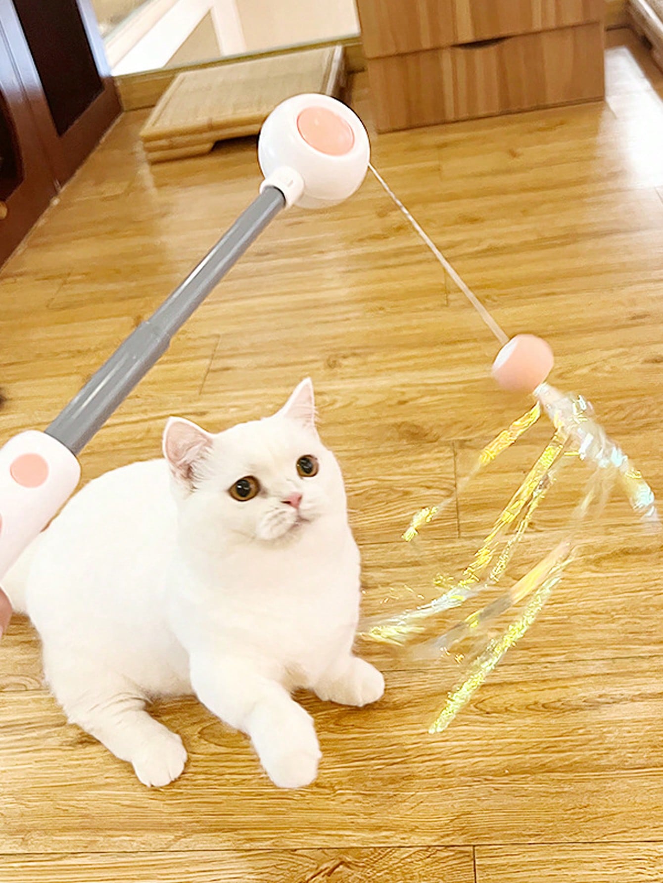 Interactive Cat Teaser Wand Toys With Replacement Feather