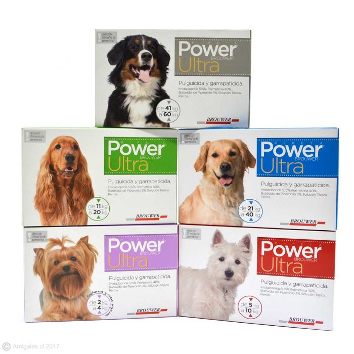 Power Ultra for Dogs
